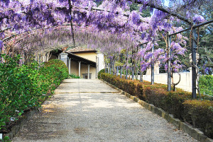 villa_piccolo